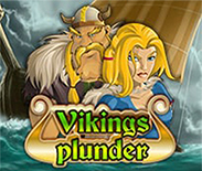 Viking`s Plunder